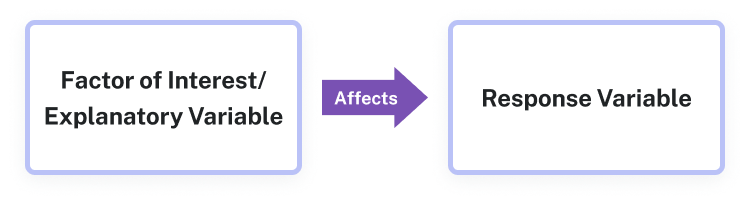 Diagram showing that the factor of interest affects the response variable