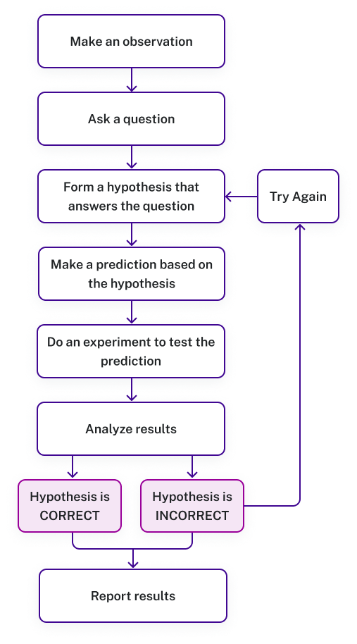 Flowchart of the scientific method with eight stages. It begins with make an observation, then ask a question, form a hypothesis that answers the question, make a prediction based on the hypothesis, do an experiment to test the prediction, analyze the results, prove the hypothesis correct or incorrect, then report the results. If the Hypothesis is incorrect, you return to stage three (form a hypothesis that answers the question) and repeat process from there.