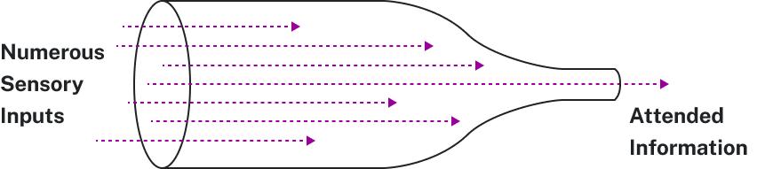 Bottle showing how lots of sensory inputs funnel like through the base of a bottle and then only some is attended to, like those at the neck of the bottle.