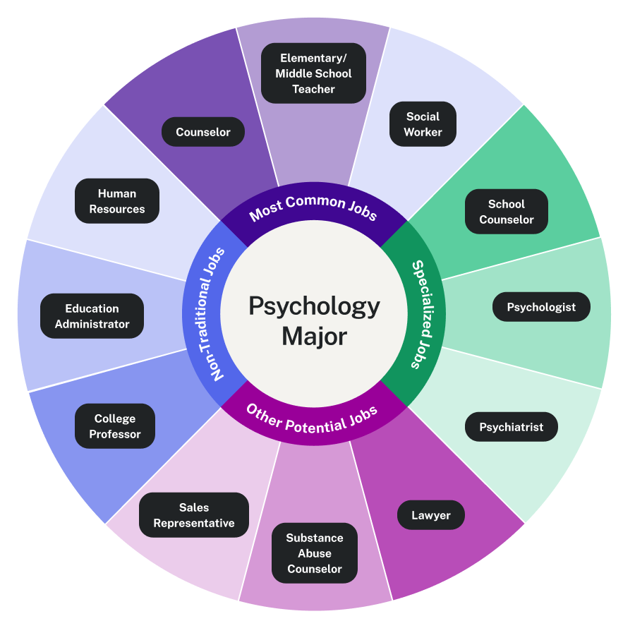 Wheel showing jobs associated with psych majors, including common jobs like counselor, teacher, or social worker, then spcialized jobs like school counselor, psychologist, non-traditional jos like a poressors, administrator or HR worker, and other potential jobs such as sales representatives, substance abuse counselor, or lawyer.