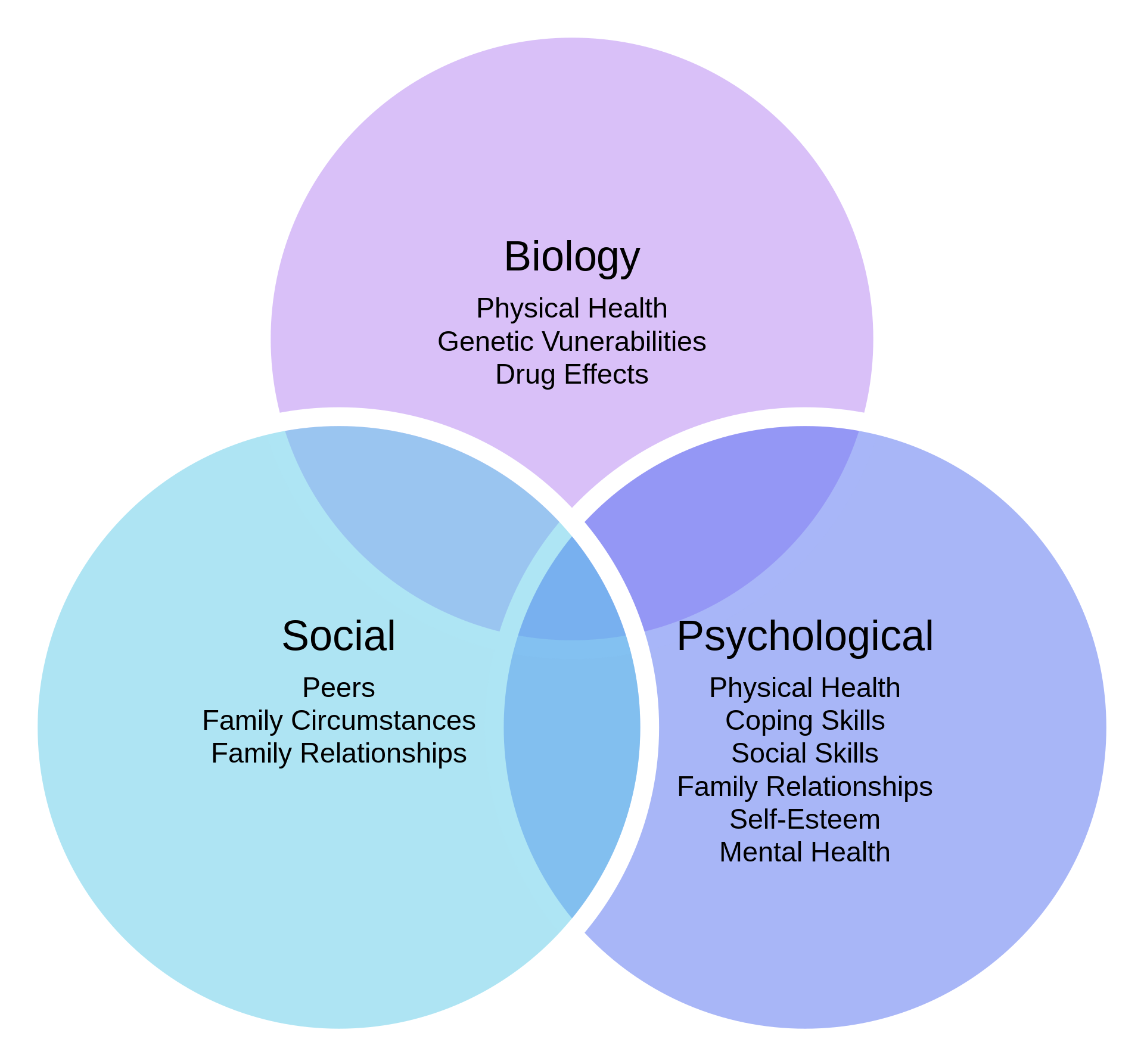 The bio-psycho-social model shown as 3 interlapping circles of a venn diagram.
