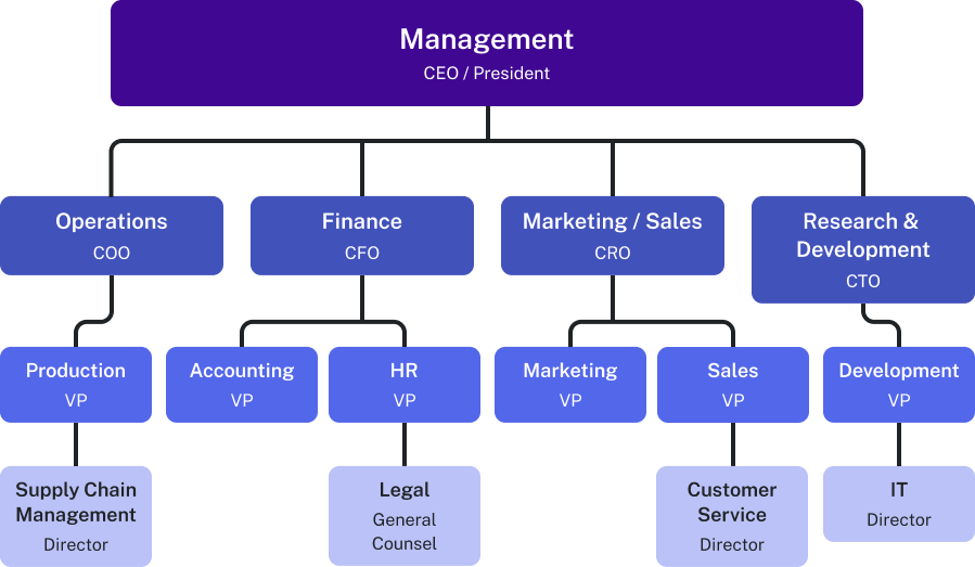 Organization chart showing the key people within functional areas of business. The first level is Management, represented by the C E O or President. The second level, underneath Management, includes Operations, Finance, Marketing/Sales, and Research and Development. Operations is represented by the C O O. The levels beneath Operations includes Production and Supply Chain Management; these areas are represented by the V P of Production, the Director of Supply Chain Management. Finance is represented by the C F O. The levels beneath Finance are Accounting and Human Resources with Legal under H R; these areas are represented by the V P of Accounting, the V P of H R, and the General Counsel of Legal. Marketing/Sales is represented by the C R O. The levels beneath Marketing/Sales include Marketing, Sales, and Customer Service under Sales; these areas are represented by the V P of Marketing, the V P of Sales, and the Director of Customer Service. Finally, R & D is represented by the C T O. The levels beneath R & D include Development and I T; these areas are represented by the V P of Development and the Director of I T.