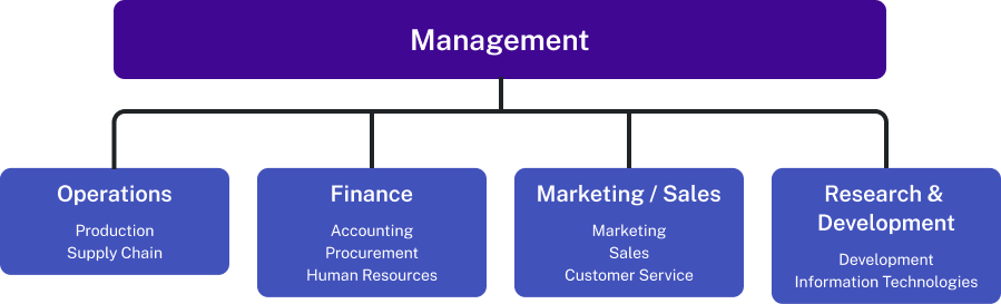 Organization chart of the functional areas of business. Management is the first level. Underneath management are the following four categories: Operations (Production and Supply Chain), Finance (Accounting, Procurement, and H R), Marketing/Sales (Marketing, Sales, and Customer Service), and R & D (Development and I T).