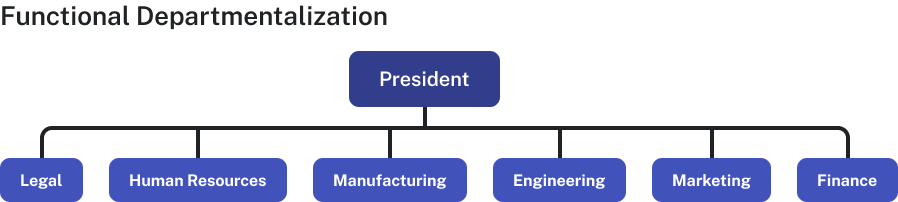 Functional departmentalization shows a president at the top level above legal, human resources, manufacturing, engineering, marketing, and finance functions.