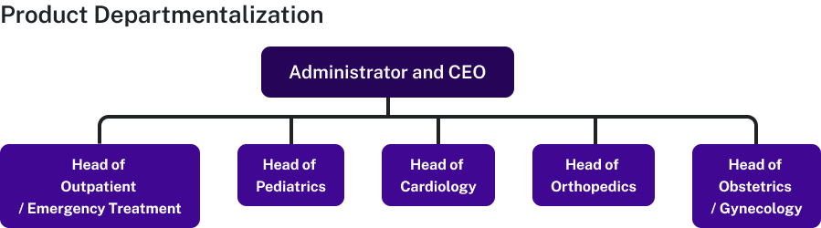 Product departmentalization shows an administrator and C E O at the top level, with the head of outpatient slash emergency treatment, head of pediatrics, head of cardiology, head of orthopedics, and head of obstetrics slash gynecology below.