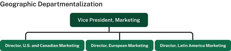 Geographic departmentalization shows the vice president of marketing on the top level with the director of U S and Canadian marketing, the director for European marketing, and the director for Latin American marketing below.
