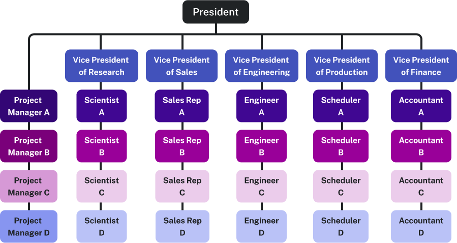 The image is an organizational chart for a company. At the top of the hierarchy is the "President," directly below are five Vice President positions: Vice President of Research, Vice President of Sales, Vice President of Engineering, Vice President of Production, and Vice President of Finance. Each Vice President role oversees a different department indicated by the color-coded boxes below them. For the Vice President of Research, there are four "Scientist" positions (A, B, C, D) directly reporting to them. Similarly, the Vice President of Sales has four "Sales Rep" positions (A, B, C, D); the Vice President of Engineering has four "Engineer" positions (A, B, C, D); the Vice President of Production oversees four "Scheduler" positions (A, B, C, D); and the Vice President of Finance has four "Accountant" positions (A, B, C, D). There are also four Project Manager positions that report directly to the President. There is one Project Manager for each level of the hierarchy (A, B, C, D). The chart is color-coded: the President is in a black box, Vice Presidents in blue, and their direct reports in shades of purple and pink, with darker shades for 'A' positions and lighter shades as it goes down to 'D' positions. This visual structure is designed to clarify the reporting relationships within the company.