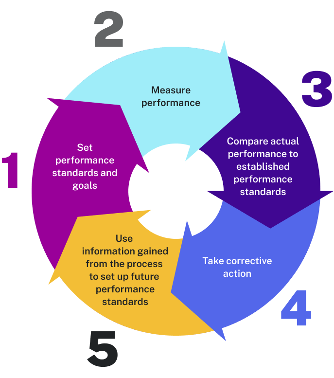 Each stage flows into the next. Stage 1 says, set performance standards and goals. Stage 2 says, measure performance. Stage 3 says, compare actual performance to established performance standards. Stage 4 says, take corrective action. Stage 5 says, use information gained from the process to set up future performance standards.