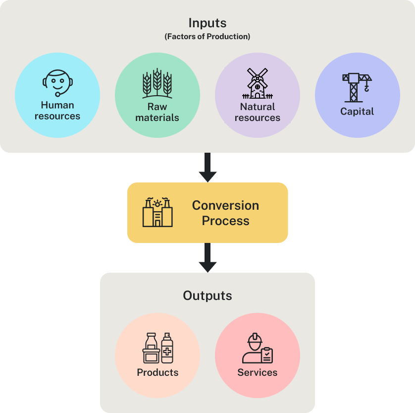Production Process for Products and Services. The diagram shows that inputs, which are factors of production, include the following: natural resources, human resources, raw materials, and capital. A conversion process takes place by which inputs are converted into outputs which are products and services.