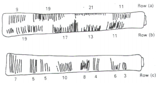 Image depicting a stick with notches cut into it as tallies. The stick is shown from two angles to show that there are three rows (labeled a, b, and c) of tallies.
