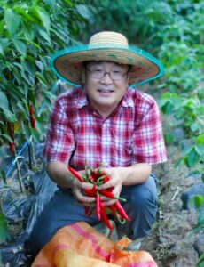 Man holding peppers in garden