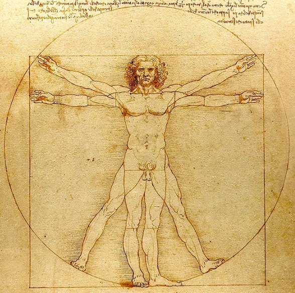 Vitruvian Man by Leonardo da Vinci (credit: