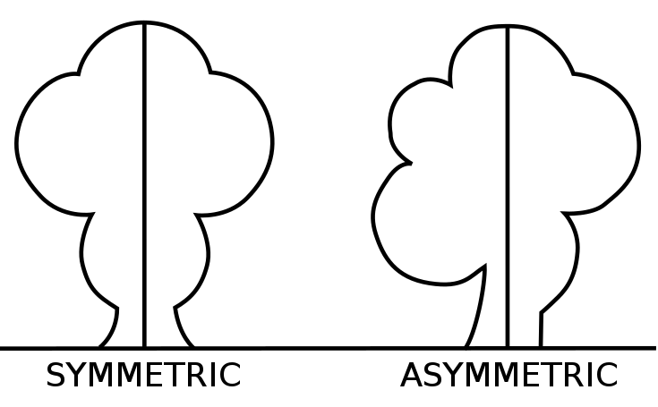 Two drawings of a tree are show, one with a line creating a symmetrical image and another with a line created an asymmetrical iamge