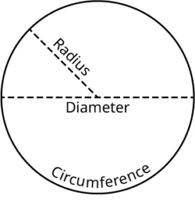 A diagram of a circle with the words radius, diameter, and circumference.