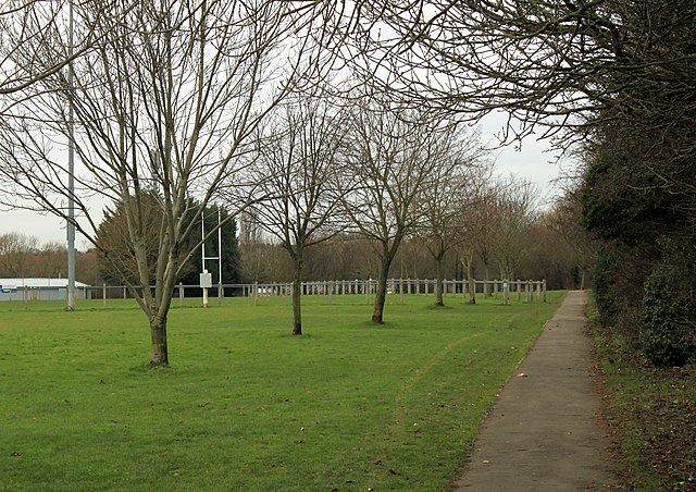 A grassy park