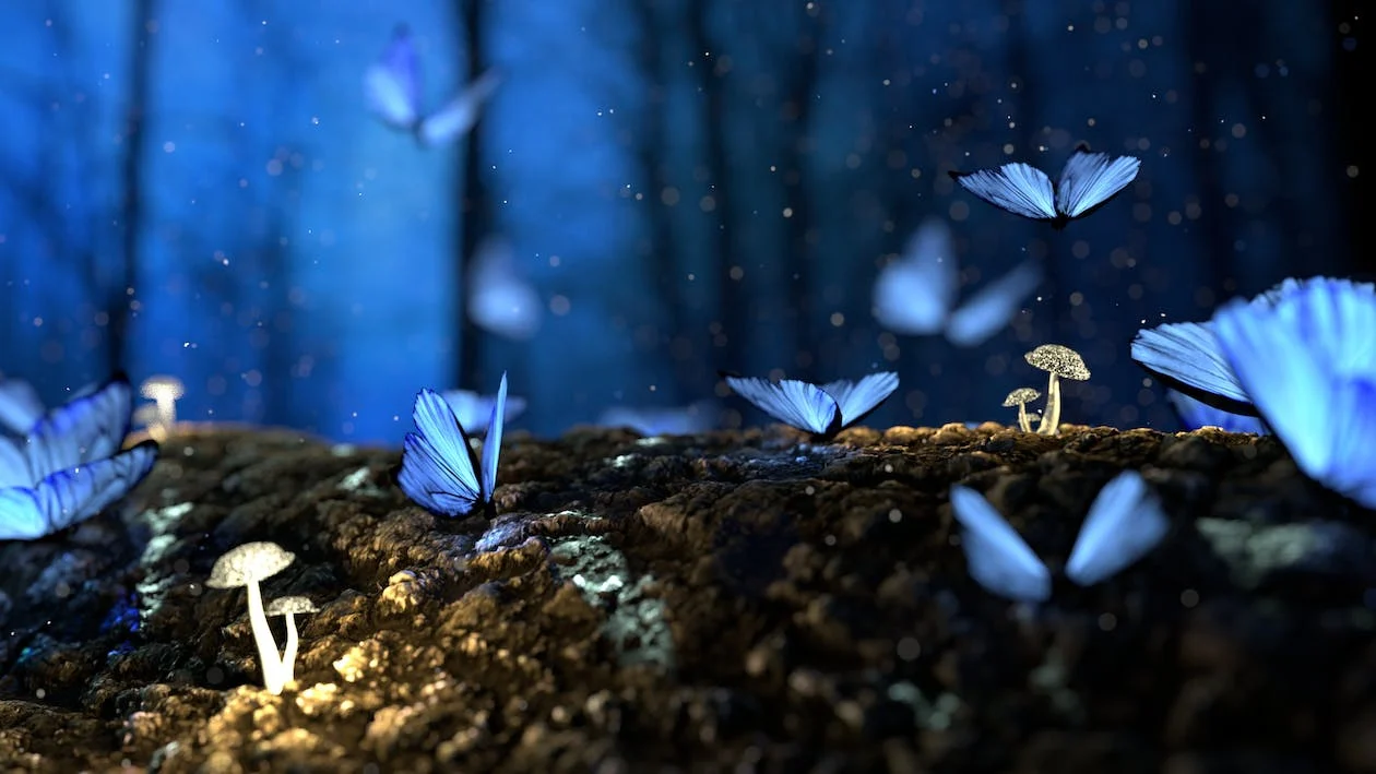 Blue butterflies in their ecosystem