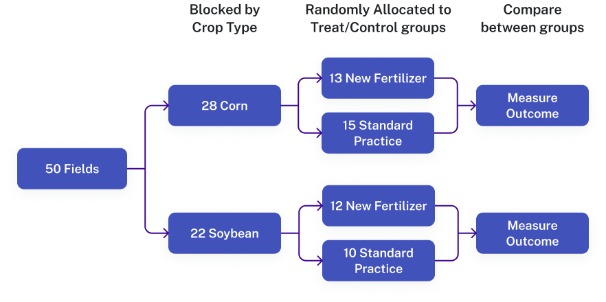 A diagram depicting randomized block design. It begins with 50 fields, which is blocked by crop type. These blocks are randomly allocated into treating with fertilizer and control groups, and then the outcomes are measured between groups.