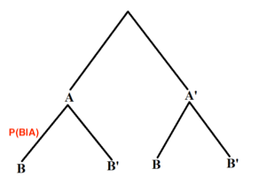 This is a tree diagram for events A and B. The first branch shows two lines: A and A'. The second branch has a set of 2 lines for each first branch line. Below A is B and B'. Below A' is B and B'. Between A and B P(B|A) is written in red.
