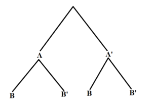 This is a tree diagram for events A and B. The first branch shows two lines: A and A'. The second branch has a set of 2 lines for each first branch line. Below A is B and B'. Below A' is B and B'.