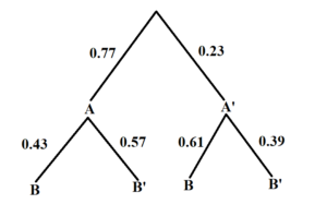 This is a tree diagram for events A and B. The first branch shows two lines: A and A'. A is labeled 0.77 and A' is labeled 0.23. The second branch has a set of 2 lines for each first branch line. Below A is B and B', labeled 0.43 and 0.57 respectively. Below A' is B and B', labeled 0.61 and 0.39 respectively..