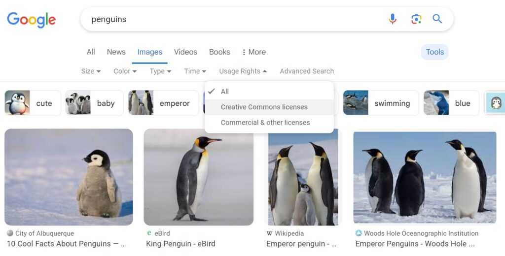 A screenshot of the Google Images page with the Usage Rights dropdown menu open. Options include, "All, Creative Commons licenses, and Commercial & other licenses." The "All" option is selected. In the background are photos of penguins.