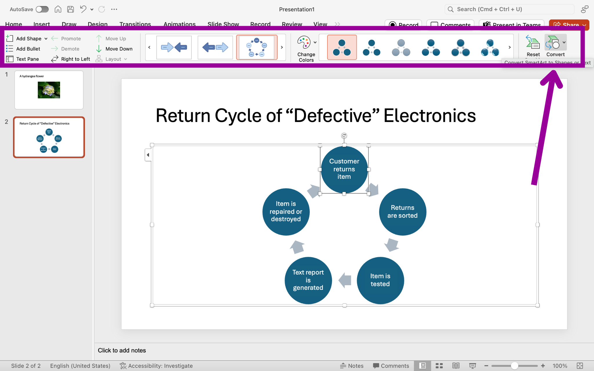 A Microsoft Powerpoint is open with two slides. The second slide has been selected and a smart art cycle has been inserted. A text box to the left has opened allowing access to change the content inside the cycle. A magenta box in the ribbon has appeared highlighting the design tab in the menu. A magenta arrow is pointing to the convert button making the cycle become static.