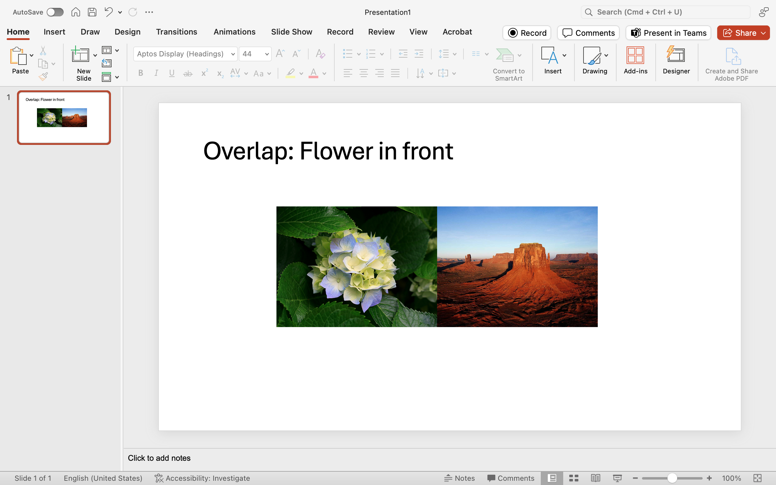 A Microsoft Powerpoint is open to the first and only slide with an image of a flower overlapping an image of a desert to the right.