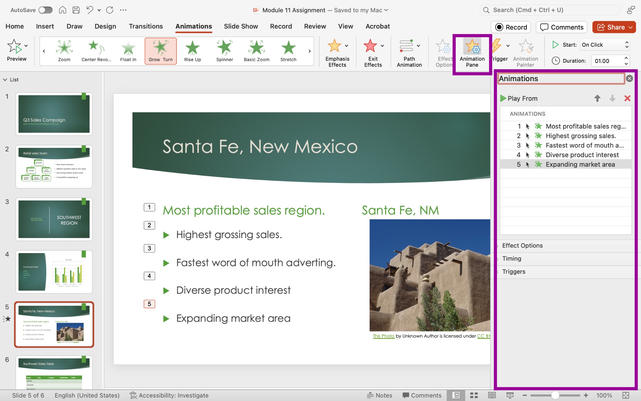 PowerPoint presentation screenshot showing animation pane and open list of text with animations.
