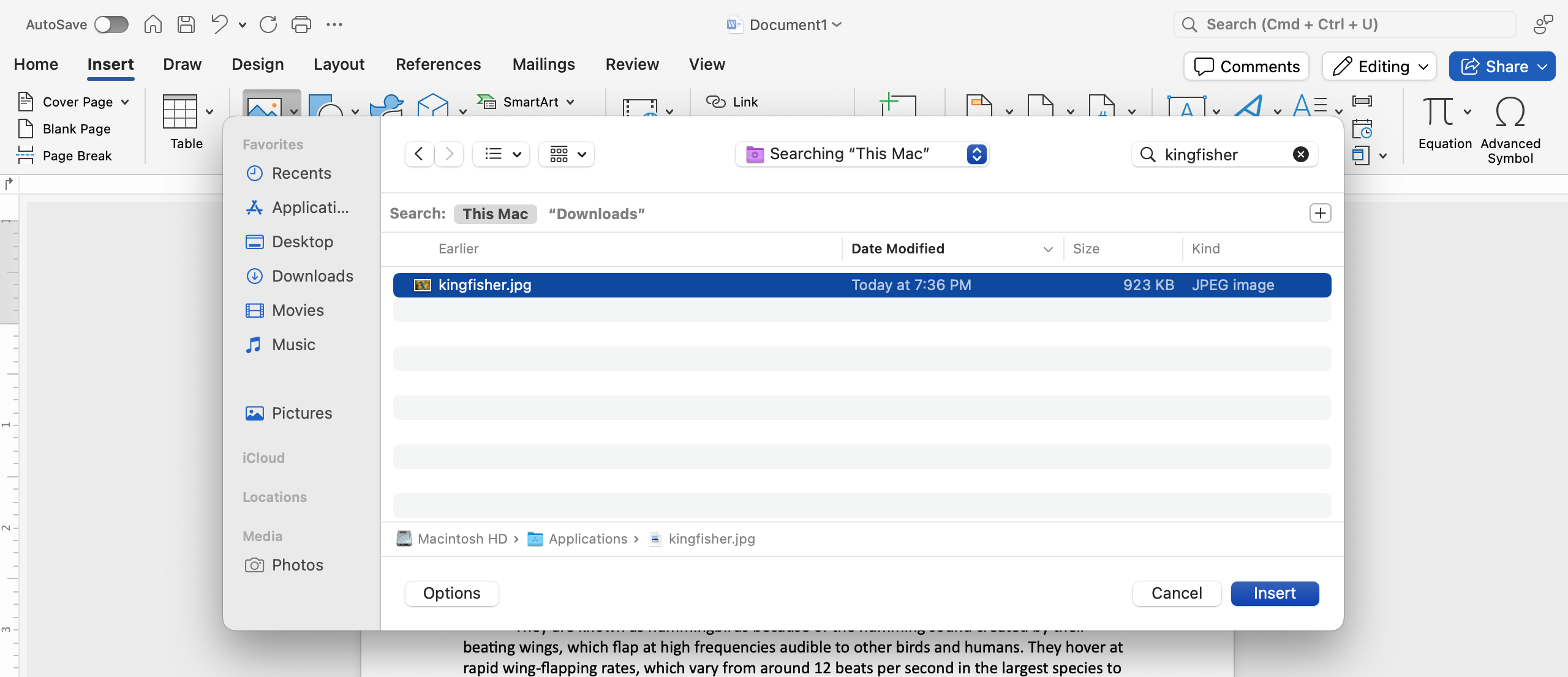 A microsoft word document in the background with text is open. In front of the document a file finder has been opened allowing you to search for images on this pc. In the file name box "kingfisher" has been entered.