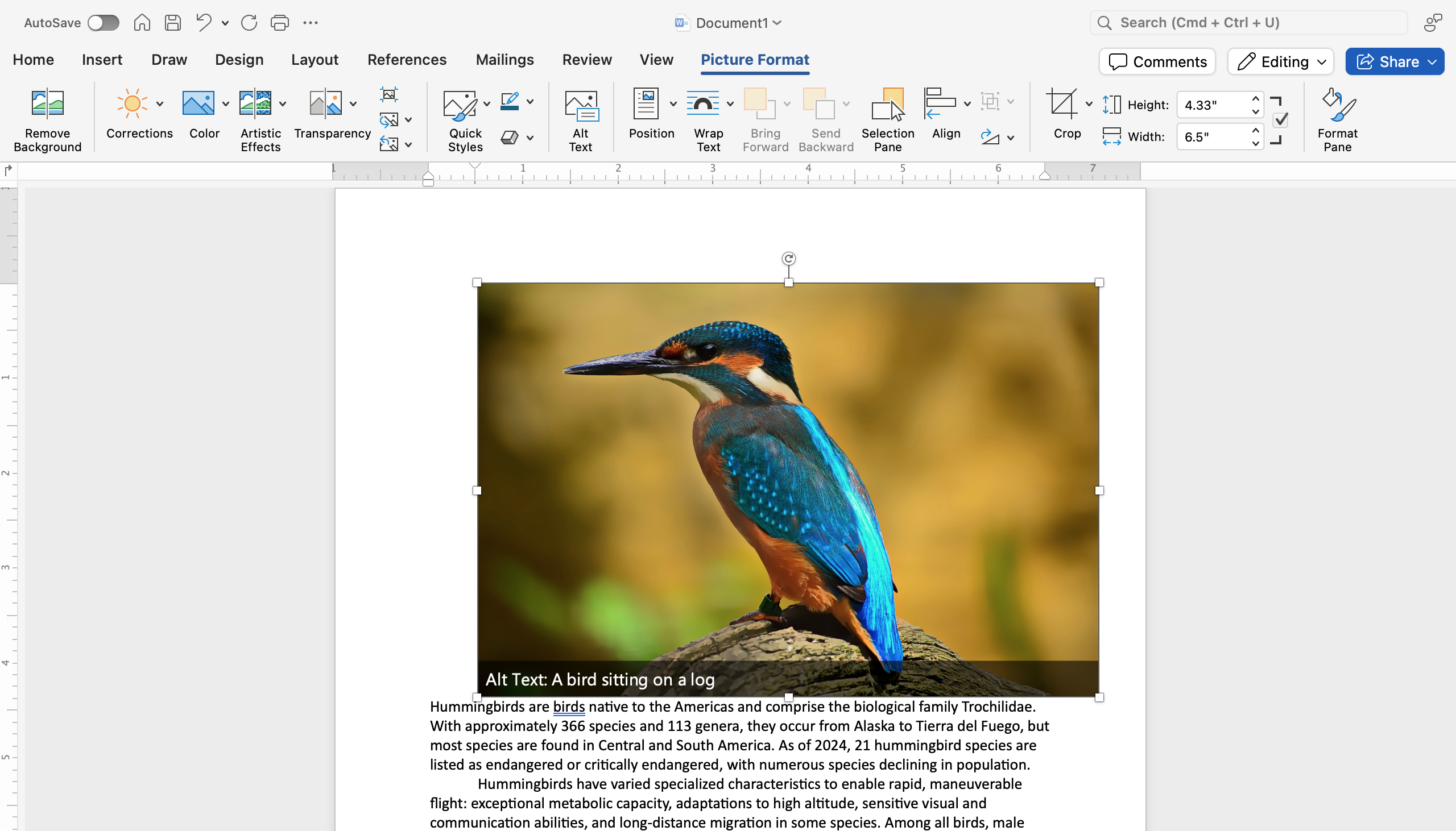 A Microsoft Word document is open with text on it. On the document an image of a colorful kingfisher is visible.