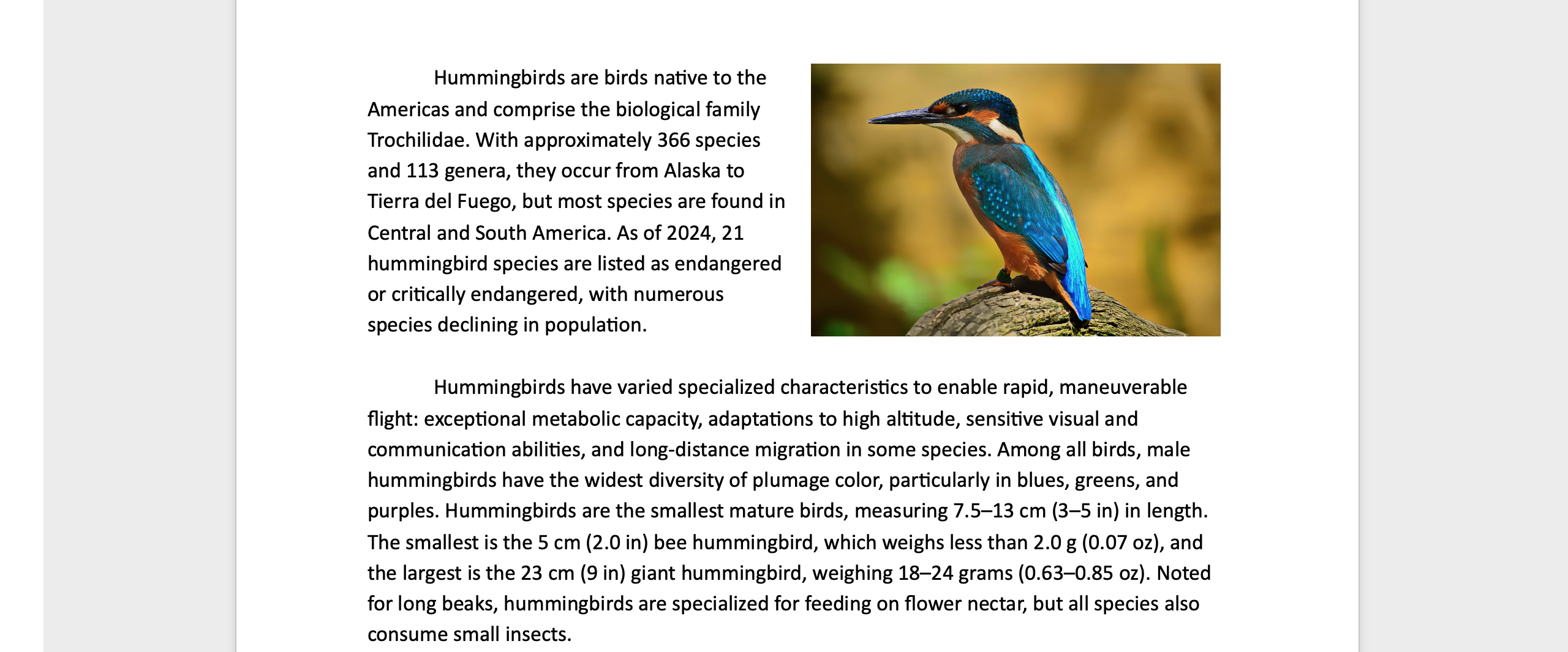 A Microsoft Word document is open with text on it. On the document an image of a colorful kingfisher is visible. The text has been wrapped around the image forcing the image to go to the right of the document.