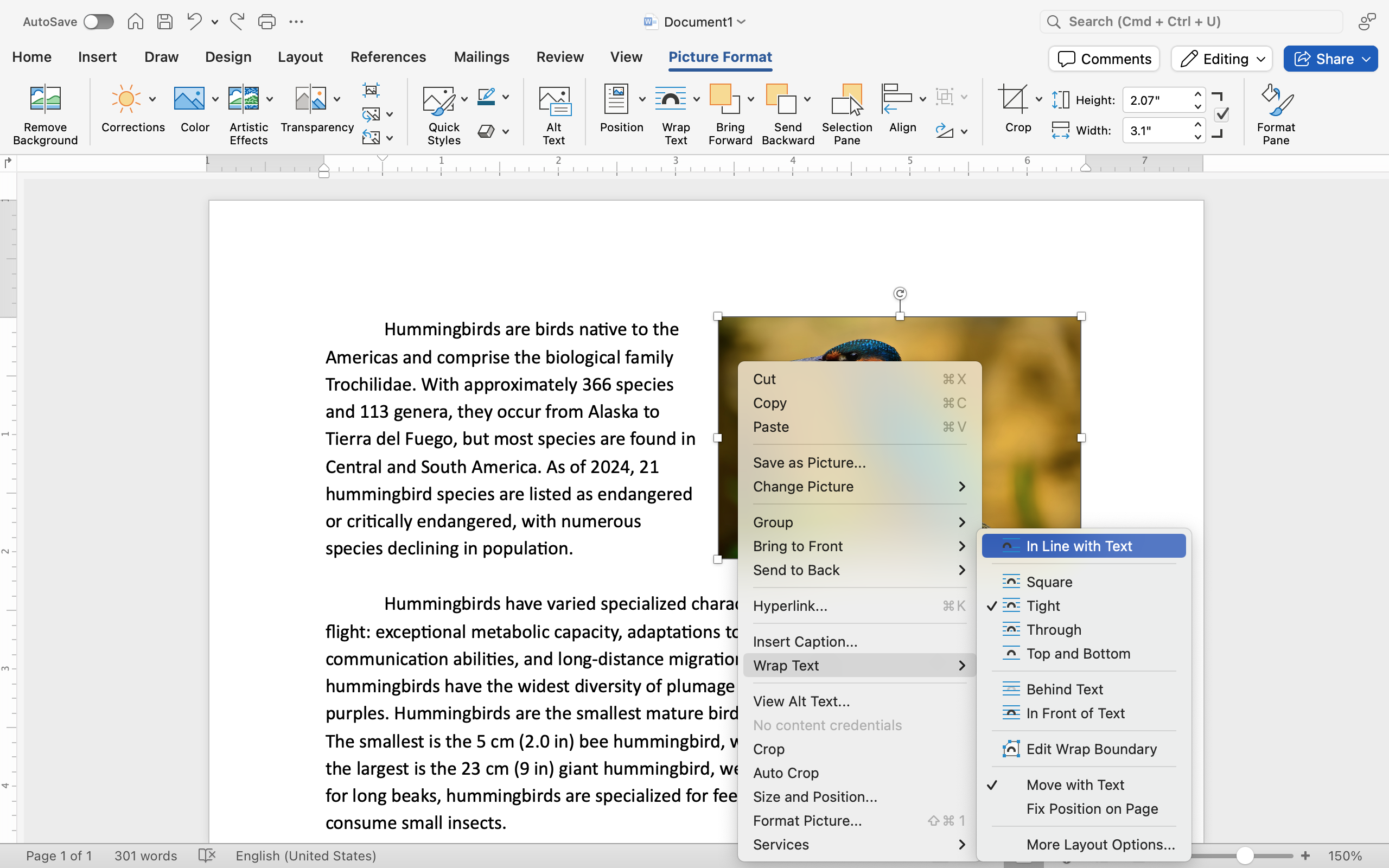 A Microsoft Word document is open with text on it. On the document an image of a colorful kingfisher is visible. In the top right corner of the image is a button which opens up a dropdown menu for layout options. The drop down menu is also achieved by right clicking.
