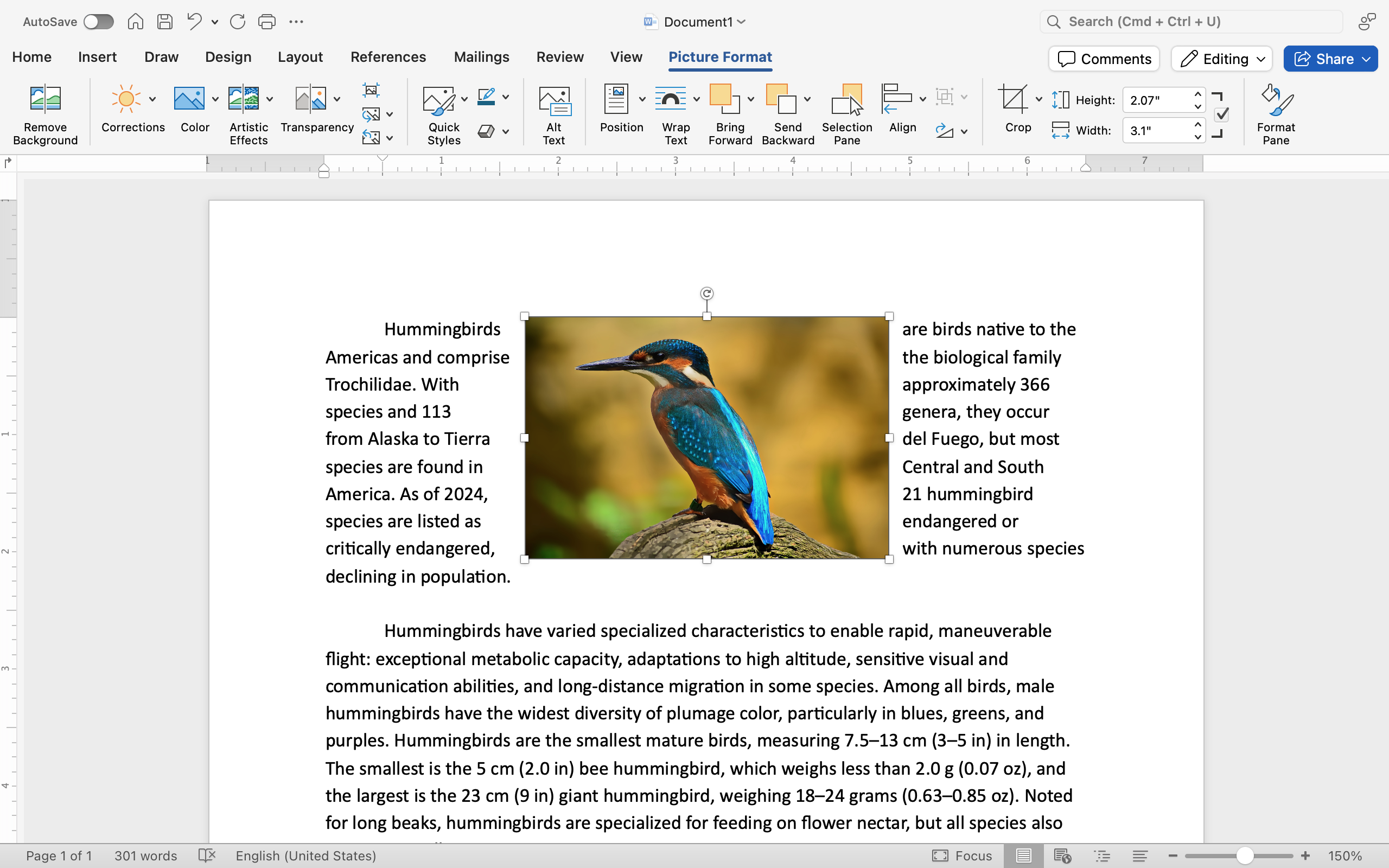 A Microsoft Word document is open with text on it. On the document an image of a colorful kingfisher is visible. The text has been wrapped to either side of the image, making the image the center of the page.