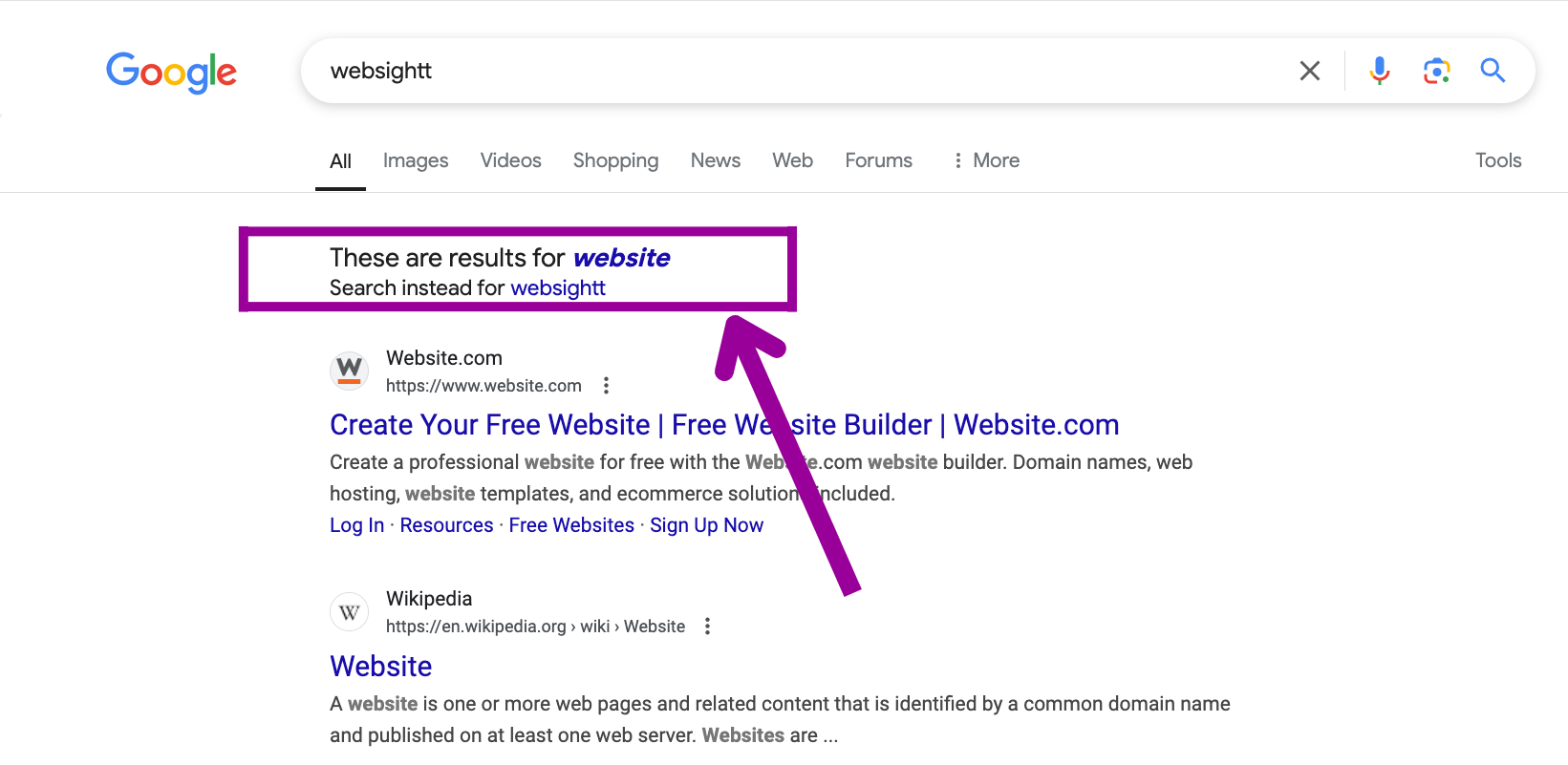 A google search has been entered for, websightt. There is a magenta box surrounding the, "showing results for" section of the site.