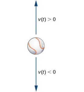 A picture of a baseball with an arrow above it pointing up and an arrow below it pointing down. The arrow pointing up is labeled v(t) > 0, and the arrow pointing down is labeled v(t) < 0.
